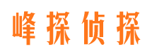 武汉调查取证